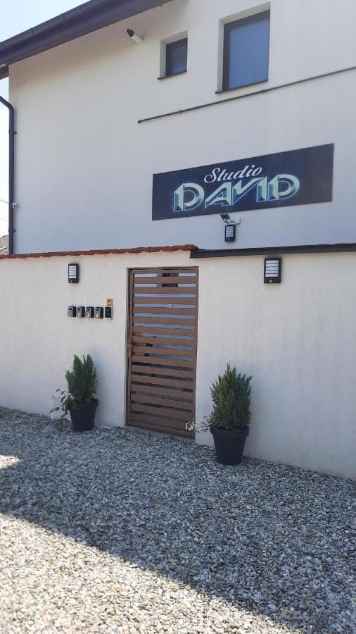 *Studio David* Sibiu Luaran gambar